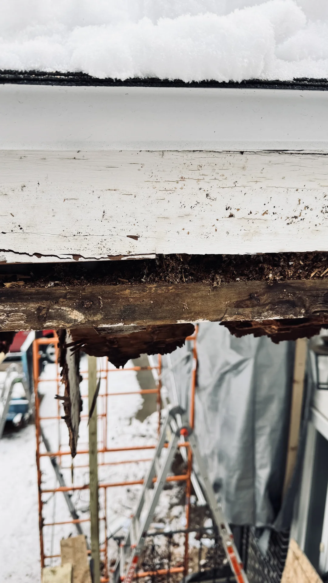 Fascia & Rafter Tail Teardown
